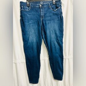 Levis Strauss Gold Signature Mid-Rise Skinny Blue Denim 22L W38-L32